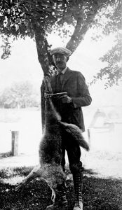72 201 161D Hunting (EF Rhodenbaugh With Coyote Sept 1925)