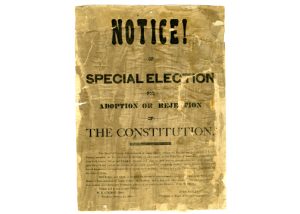 AR1 Bx46A Notice Constitution Election Poster